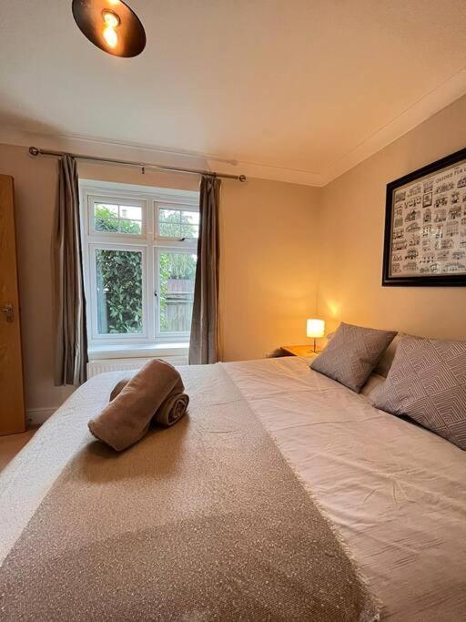 Space And Comfort In Summertown Oxford Exterior photo